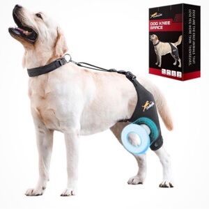 Dog Knee Brace Support Harness - Black by Unbranded
